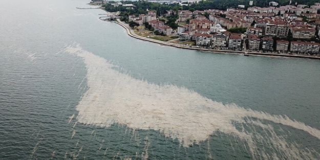 Marmara Denizi hasta, oksijen azalıyor azot ve fosfor oranı artıyor!