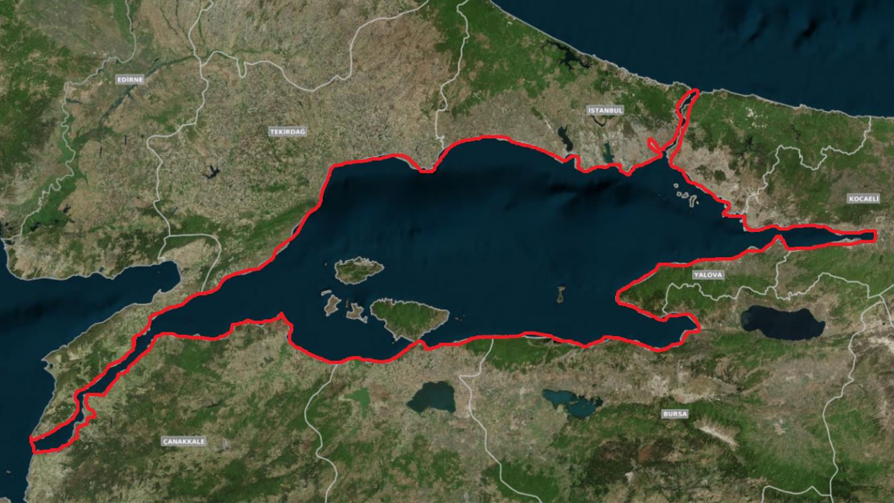 Marmara Denizi'nde ikinci kez görüldü: 