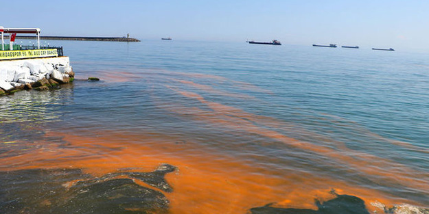 Marmara Denizi’nde şaşırtan görüntü
