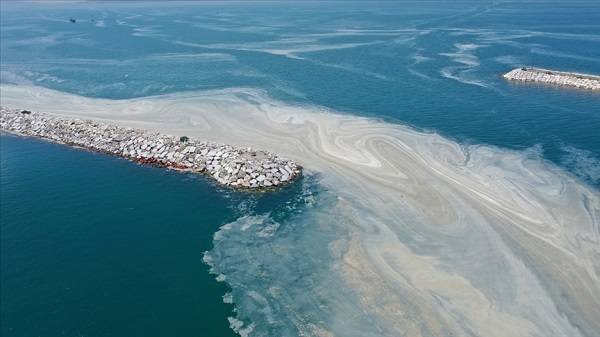Marmara Denizi'nde müsilaj mı oluştu? Müsilaj son durum