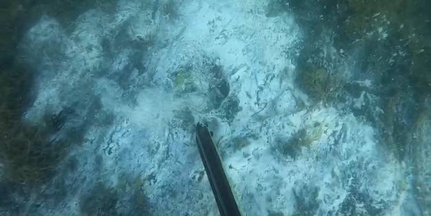 Marmara Denizi'nin altında dehşete uğratan görüntüler!