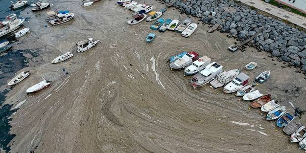 Marmara için kötü haber: Bu seneki manzarayı arayacağız