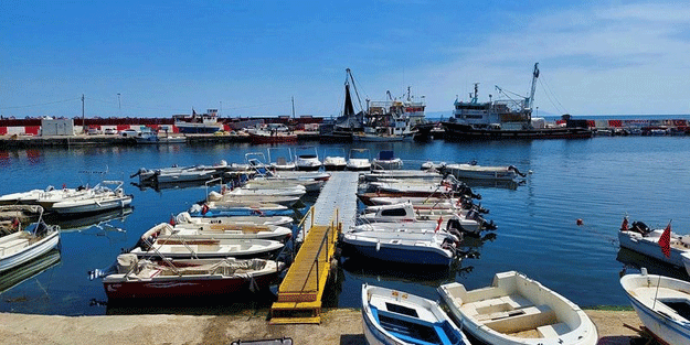 Marmara için müsilaj mesajı