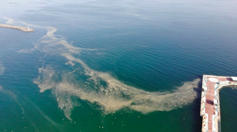 Marmara sıcaktan fokurduyor! Araştırmacılar şoka uğradı