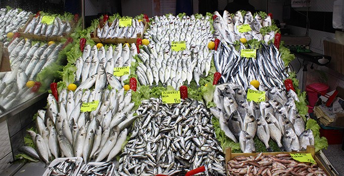 Marmara'da balıkçılar palamutla güldü