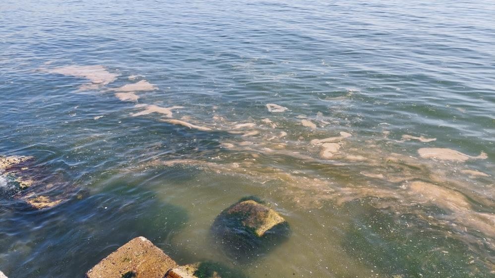 Marmara'da korkutan görüntü