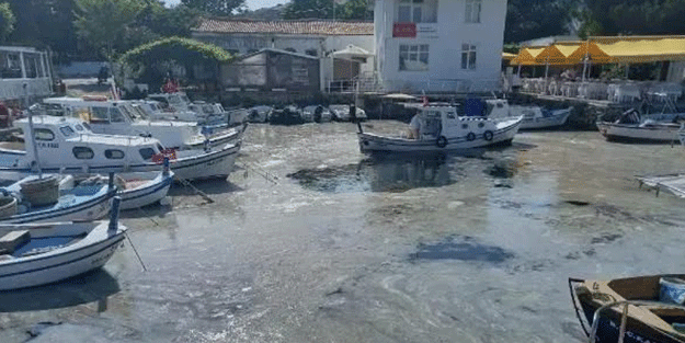 Marmara’da korkutan görüntü! Müsilaj adalara da sıçradı