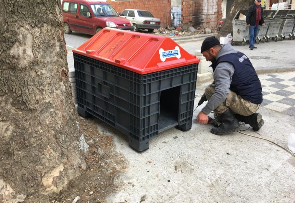Marmara’da ’minik dostlara’ yuva 