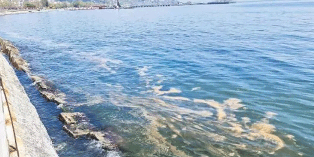 Marmara’da yine müsilaj kabusu!