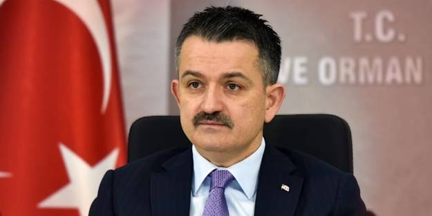 Marmara'dan çıkan balıklar yenilebilir mi? Bakan Pakdemirli'den açıklama