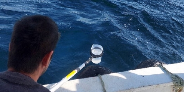Marmara’nın suyu mercek altında alındı