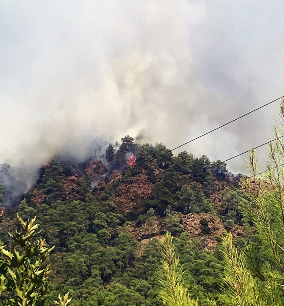 Marmaris orman yangınına müdahale sürüyor 