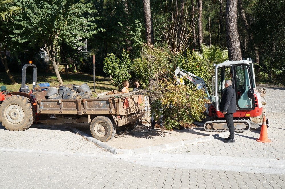 Marmaris’in kaldırımları yeşeriyor 
