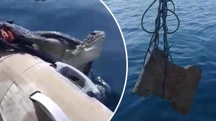 Marmaris'te isyan ettiren olay! Denizciler kurtardı