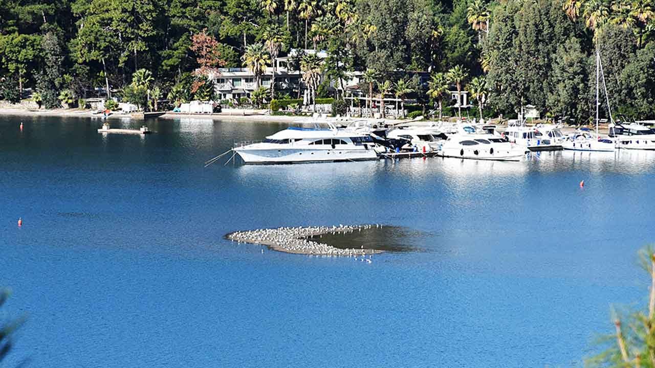 Marmaris'te korkutan olay