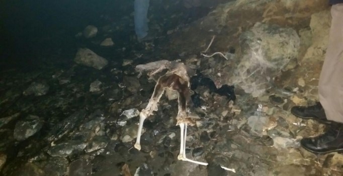 Marmaris'te koyda erkek iskeleti bulundu