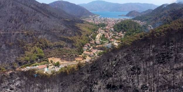 Marmaris'te yanan orman alanlar yeniden yeşillendiriliyor