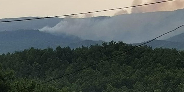 Marmaris'te yıldırım yangını