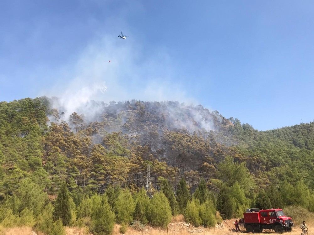 Marmaris’teki orman yangını kontrol altına alındı 
