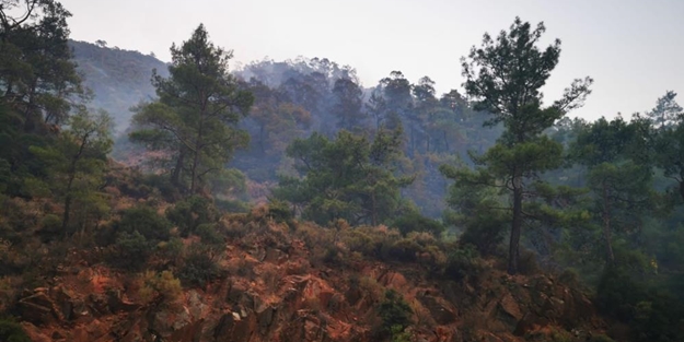 Marmaris'teki orman yangını kontrol altına alındı
