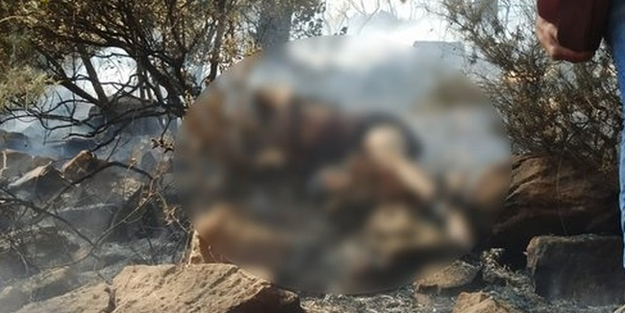 Marmaris'teki orman yangınında cesedi bulunan kişinin kimliği belirlendi!