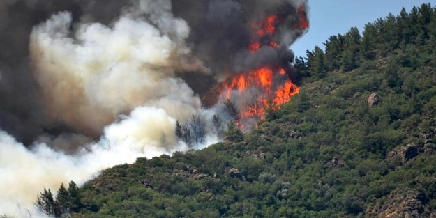Marmaris'teki orman yangınıyla ilgili soruşturma başlatıldı