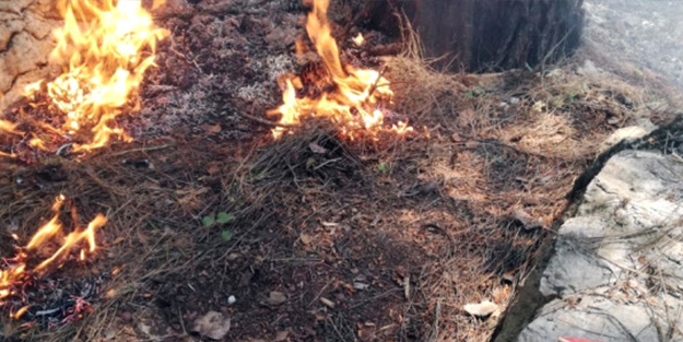 Marmaris'teki yangının sebebi belli oldu! Bakın kim çıkarmış