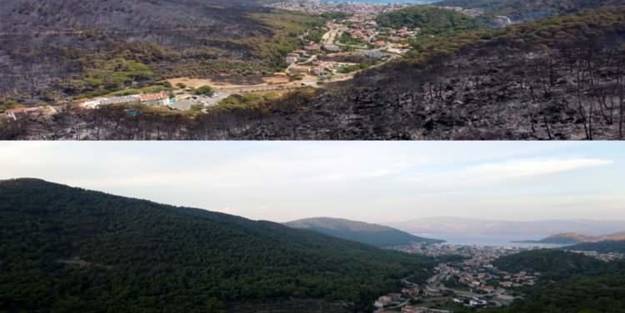Marmaris’ten iç acıtan kareler! Yangın öncesi ve sonrası havadan görüntülendi