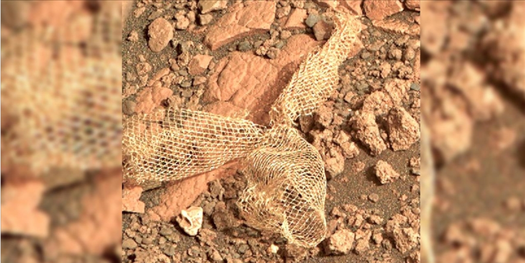 'Mars'ta limon filesine benzeyen insan çöpü bulundu' iddiası! Doğru mu, yanlış mı?