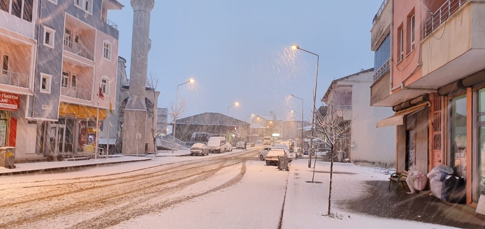 Mart ayında lapa lapa kar yağdı 