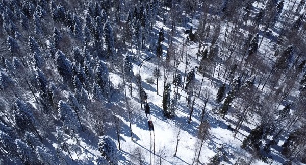 Mart kapıdan baktırdı ortaya bu manzara