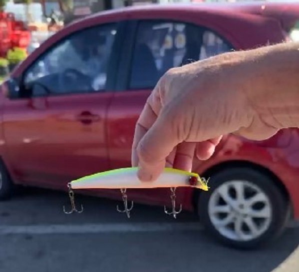 Martı balık yemine yakalandı