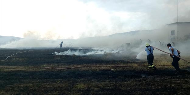 Martı yangın çıkardı 60 dönüm arazi kül oldu!