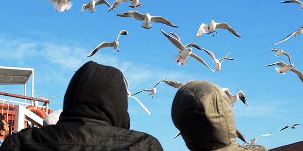 Martıya simit atmak istedi, bakın başına ne geldi…