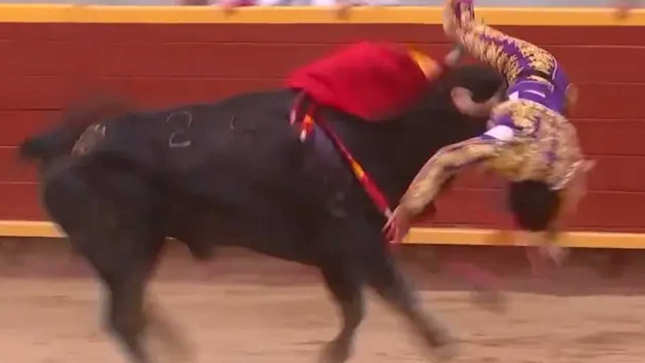Matador neye uğradığını şaşırdı! Bu sefer boğa dans etti
