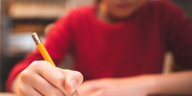 Matematik yaz okulları nerede açılacak? BİLSEM olan iller hangileri?