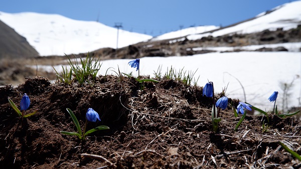 Mayıs ayında kar topu keyfi