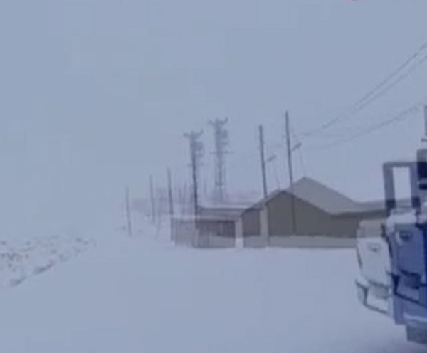 Mayıs ayında lapa lapa kar yağdı