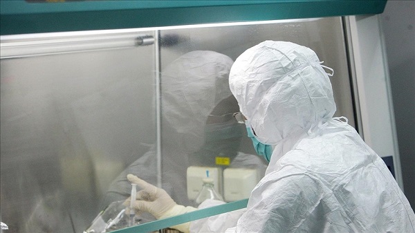 Maymun çiçeği belirtileri nelerdir? Türkiye'de kaç kişide maymun çiçeği vakası var?