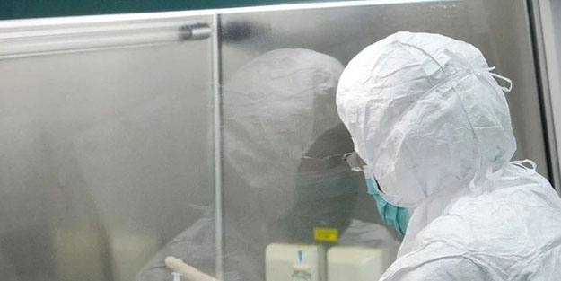 DSÖ: Eskisinden hızlı yayıldığı ortaya çıktı! Maymun Çiçeği (mpox) virüsü hakkında şaşırtan gerçek!