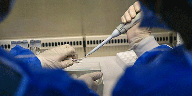 Maymun çiçeği virüsünde ilk ölümü bildirdiller