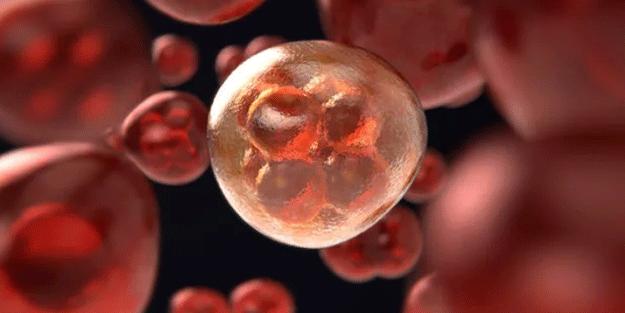 Maymun çiçeği virüsünün ismi değişiyor