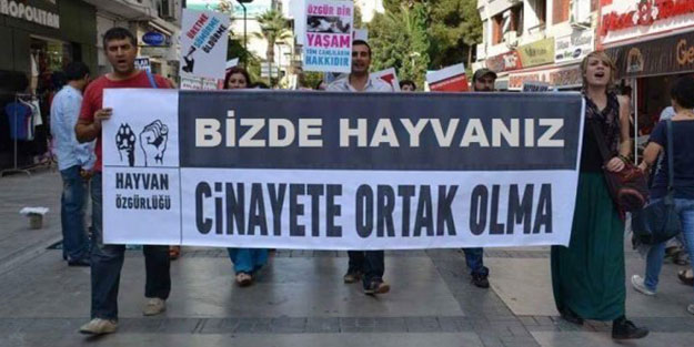 ''Maymundan geldik'' diyenler Kurban Bayramı'na karşı çıktı!