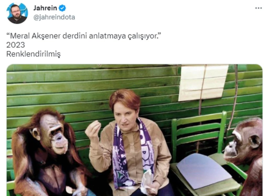 Maymunlu fotoğraf olay olmuştu! Meral Akşener, Jahrein'i arayıp...