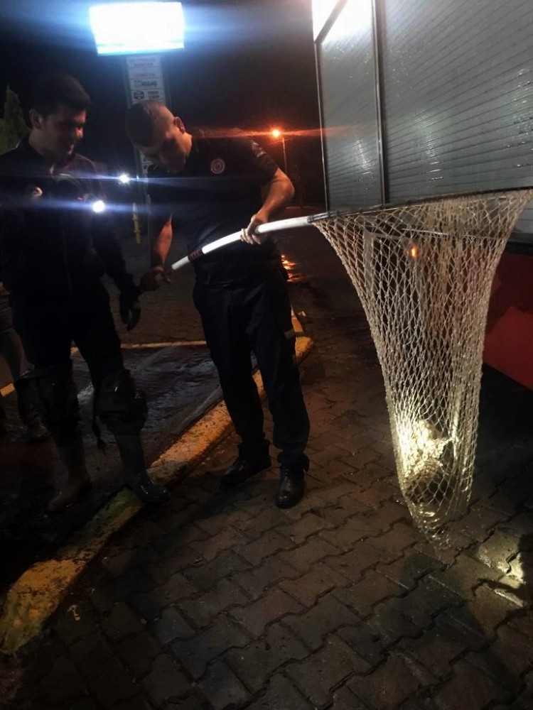 Mazgala sıkışan 2 ördek itfaiye ekiplerince kurtarıldı 