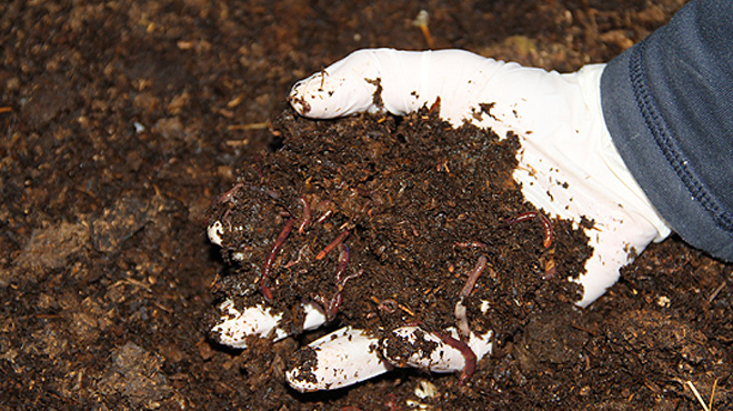 Mazot ve gübre desteklerine konan blokeler kaldırıldı
