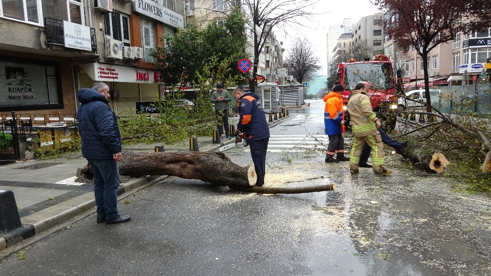 Mecidiyeköy’de fırtınanın etkisiyle devrilen ağaç yolu trafiğe kapattı 