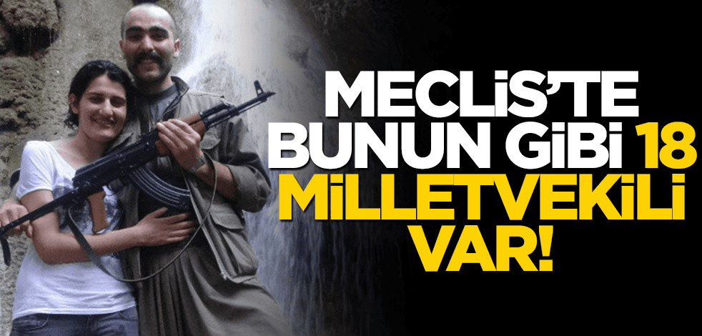 Meclis'te 18 tane Semra Güzel var! İşte terörist akrabası olan milletvekilleri