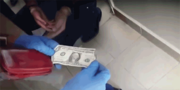 Mehmet Altan'ın evindeki aramada 1 dolar böyle bulundu