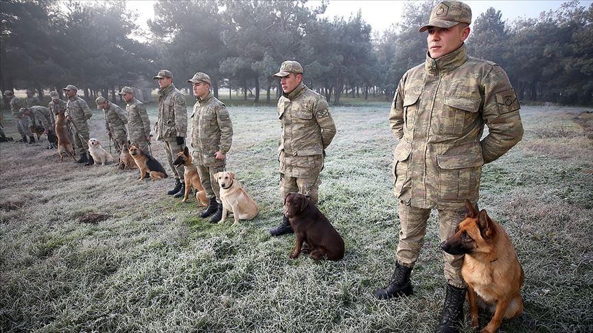 Mehmetçiğin 'can dostları' zorlu eğitimden geçiyor